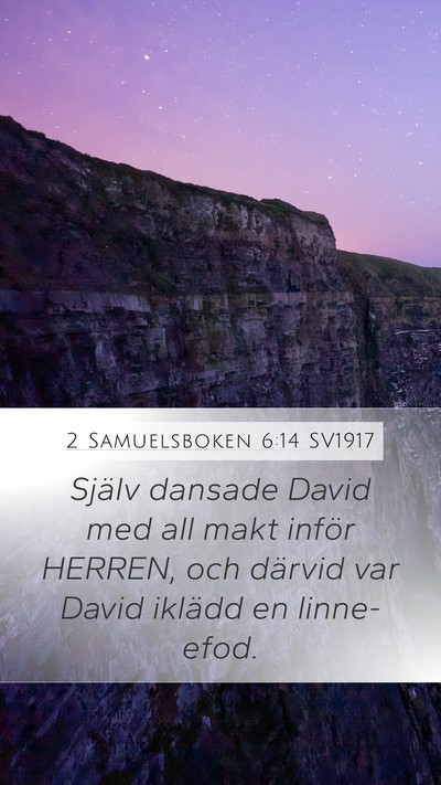 2 Samuelsboken 6:14 SV1917 Bible Verse Image