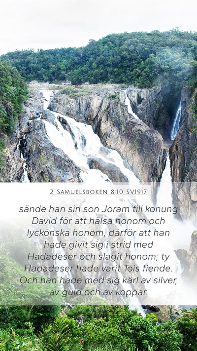 2 Samuelsboken 8:10 SV1917 Bible Verse Image