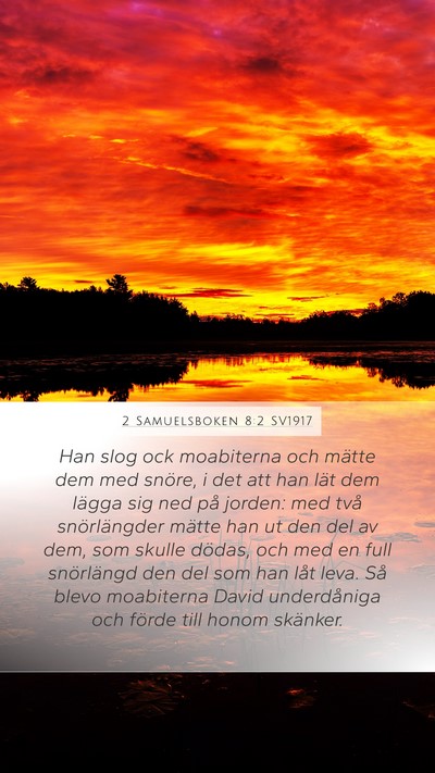 2 Samuelsboken 8:2 SV1917 Bible Verse Image