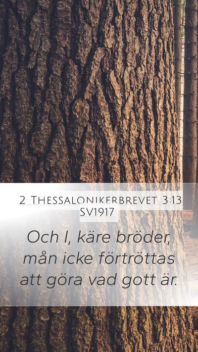 2 Thessalonikerbrevet 3:13 SV1917 Bible Verse Image