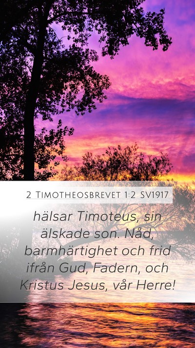 2 Timotheosbrevet 1:2 SV1917 Bible Verse Image