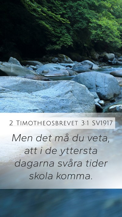 2 Timotheosbrevet 3:1 SV1917 Bible Verse Image