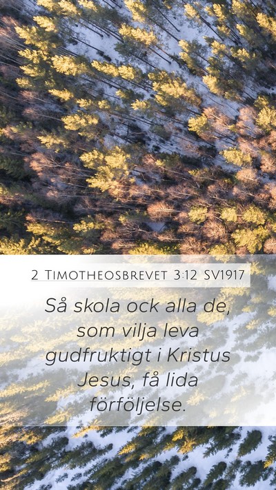 2 Timotheosbrevet 3:12 SV1917 Bible Verse Image