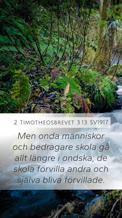 2 Timotheosbrevet 3:13 SV1917 Bible Verse Image
