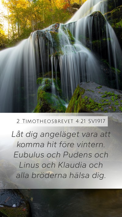 2 Timotheosbrevet 4:21 SV1917 Bible Verse Image