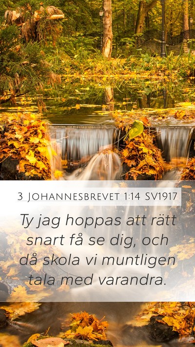 3 Johannesbrevet 1:14 SV1917 Mobile Phone Wallpaper - Ty jag hoppas att rätt snart få se dig, och då - Mobile Bible Verse Wallpaper