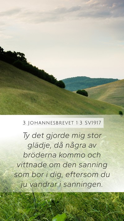 3 Johannesbrevet 1:3 SV1917 Mobile Phone Wallpaper - Ty det gjorde mig stor glädje, då några av - Mobile Bible Verse Wallpaper