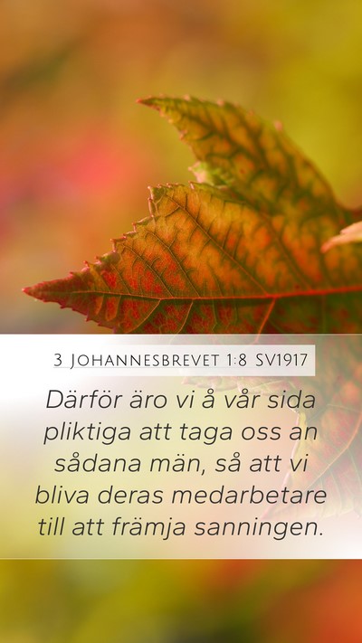 3 Johannesbrevet 1:8 SV1917 Bible Verse Image