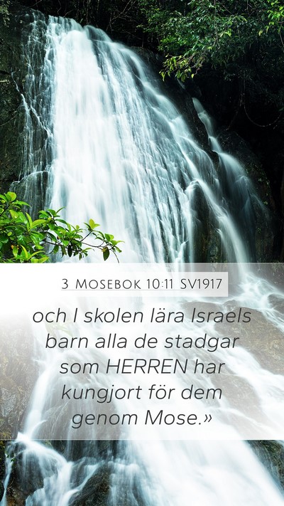 3 Mosebok 10:11 SV1917 Bible Verse Image