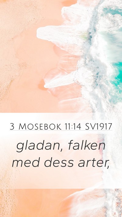 3 Mosebok 11:14 SV1917 Mobile Phone Wallpaper - gladan, falken med dess - Mobile Bible Verse Wallpaper