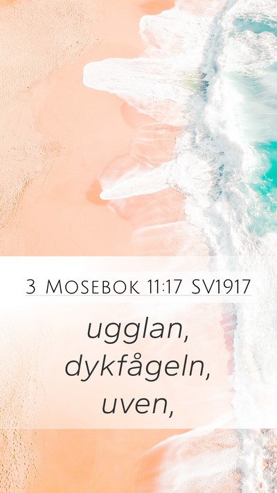 3 Mosebok 11:17 SV1917 Mobile Phone Wallpaper - ugglan, dykfågeln, - Mobile Bible Verse Wallpaper