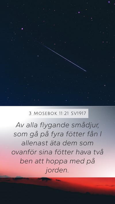 3 Mosebok 11:21 SV1917 Mobile Phone Wallpaper - Av alla flygande smådjur, som gå på fyra - Mobile Bible Verse Wallpaper