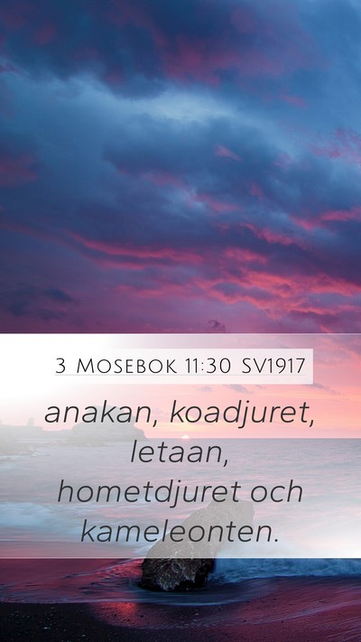 3 Mosebok 11:30 SV1917 Mobile Phone Wallpaper - anakan, koadjuret, letaan, hometdjuret och - Mobile Bible Verse Wallpaper