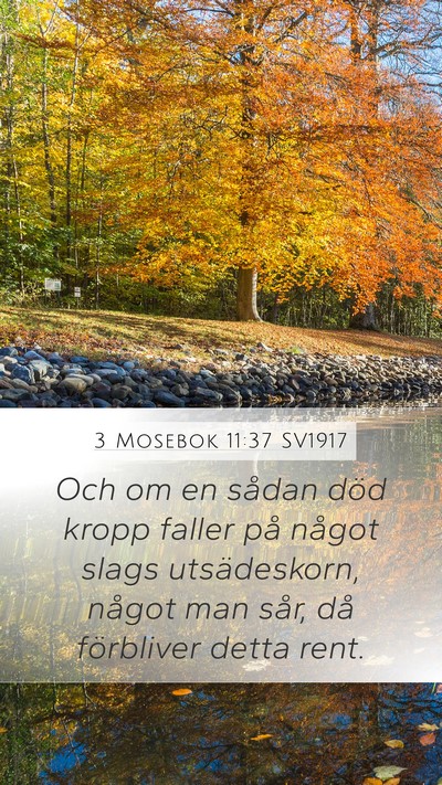 3 Mosebok 11:37 SV1917 Mobile Phone Wallpaper - Och om en sådan död kropp faller på något - Mobile Bible Verse Wallpaper
