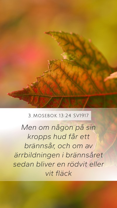 3 Mosebok 13:24 SV1917 Bible Verse Image