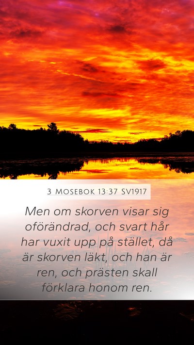 3 Mosebok 13:37 SV1917 Mobile Phone Wallpaper - Men om skorven visar sig oförändrad, och svart - Mobile Bible Verse Wallpaper