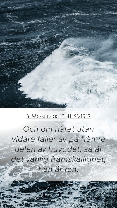 3 Mosebok 13:41 SV1917 Mobile Phone Wallpaper - Och om håret utan vidare faller av på främre - Mobile Bible Verse Wallpaper