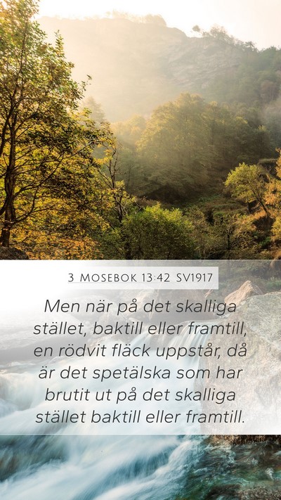 3 Mosebok 13:42 SV1917 Mobile Phone Wallpaper - Men när på det skalliga stället, baktill eller - Mobile Bible Verse Wallpaper