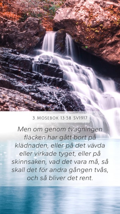 3 Mosebok 13:58 SV1917 Mobile Phone Wallpaper - Men om genom tvagningen fläcken har gått bort - Mobile Bible Verse Wallpaper