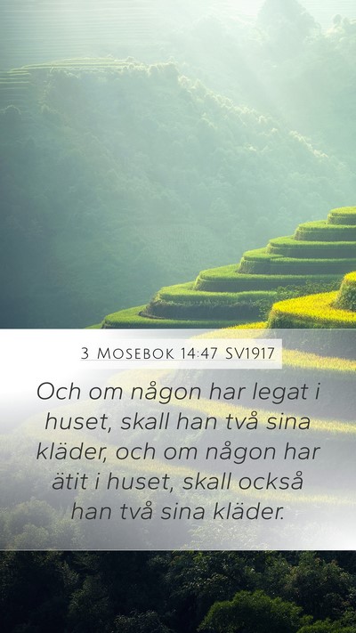 3 Mosebok 14:47 SV1917 Mobile Phone Wallpaper - Och om någon har legat i huset, skall han två - Mobile Bible Verse Wallpaper