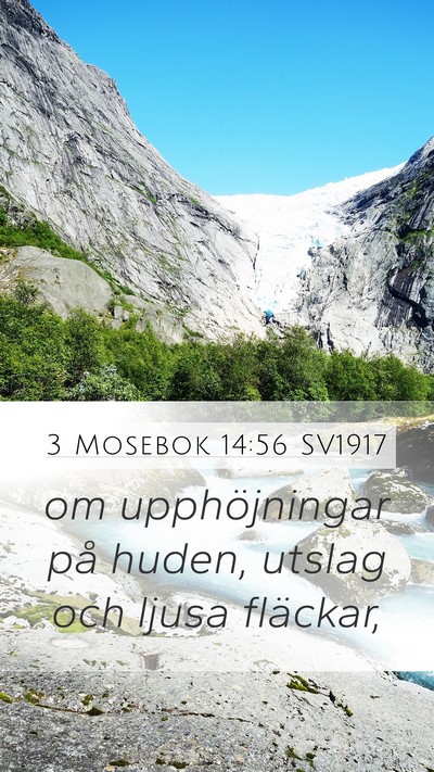 3 Mosebok 14:56 SV1917 Bible Verse Image
