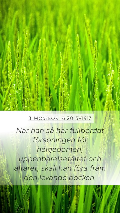 3 Mosebok 16:20 SV1917 Bible Verse Image