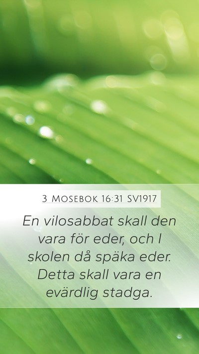 3 Mosebok 16:31 SV1917 Bible Verse Image