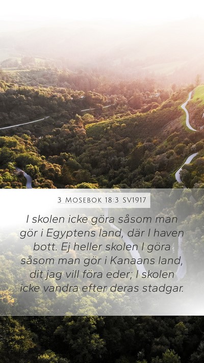 3 Mosebok 18:3 SV1917 Bible Verse Image
