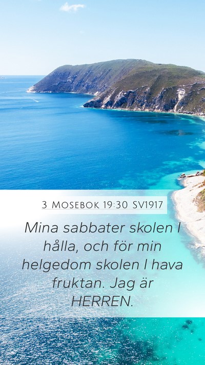 3 Mosebok 19:30 SV1917 Bible Verse Image