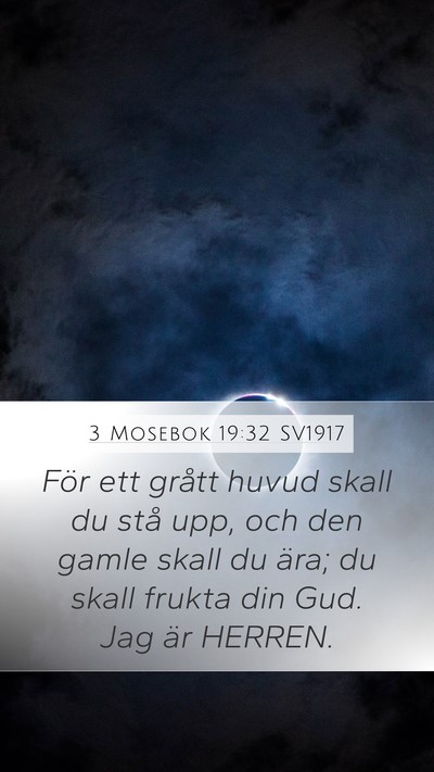 3 Mosebok 19:32 SV1917 Bible Verse Image