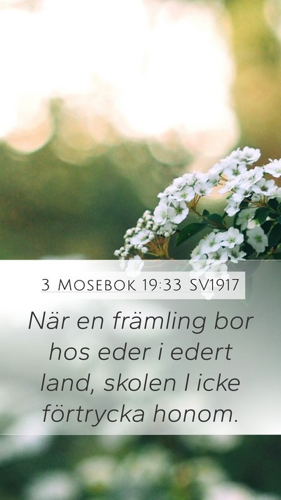 3 Mosebok 19:33 SV1917 Bible Verse Image