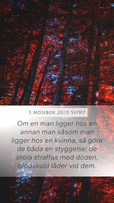 3 Mosebok 20:13 SV1917 Bible Verse Image