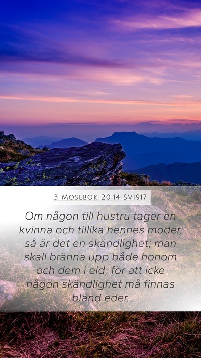 3 Mosebok 20:14 SV1917 Bible Verse Image