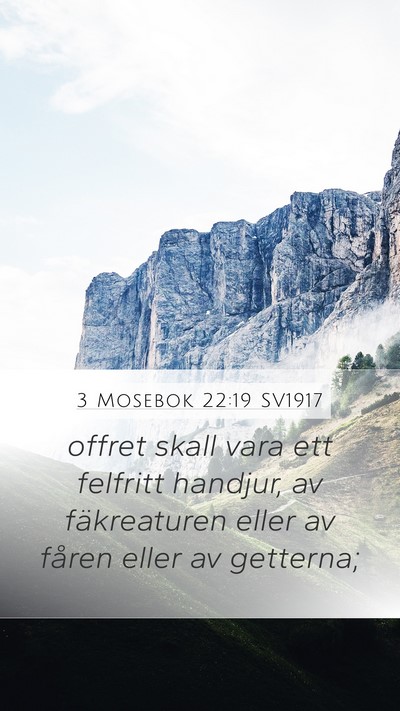 3 Mosebok 22:19 SV1917 Bible Verse Image