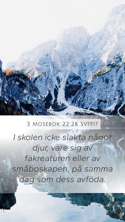 3 Mosebok 22:28 SV1917 Bible Verse Image