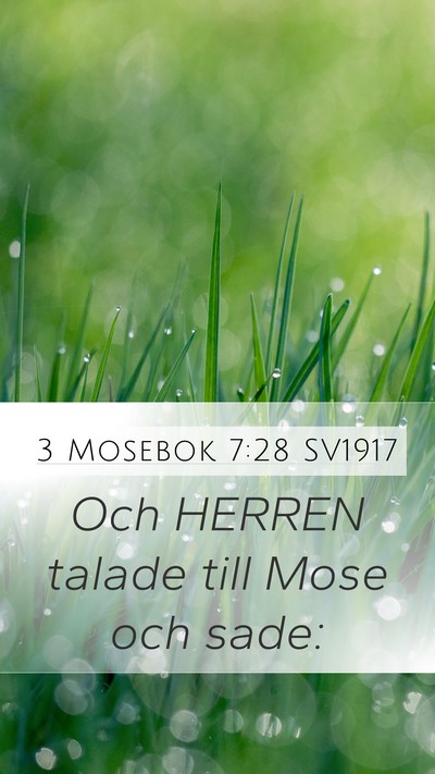 3 Mosebok 7:28 SV1917 Mobile Phone Wallpaper - Och HERREN talade till Mose och - Mobile Bible Verse Wallpaper