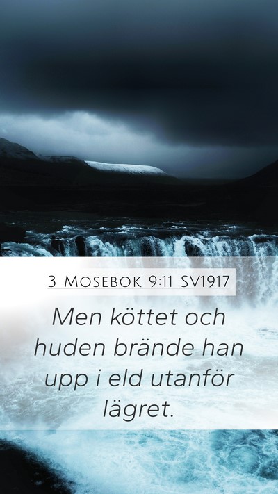3 Mosebok 9:11 SV1917 Mobile Phone Wallpaper - Men köttet och huden brände han upp i eld - Mobile Bible Verse Wallpaper