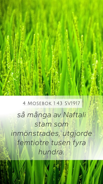 4 Mosebok 1:43 SV1917 Mobile Phone Wallpaper - så många av Naftali stam som inmönstrades, - Mobile Bible Verse Wallpaper