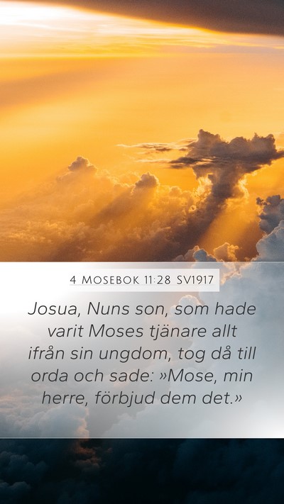 4 Mosebok 11:28 SV1917 Bible Verse Image
