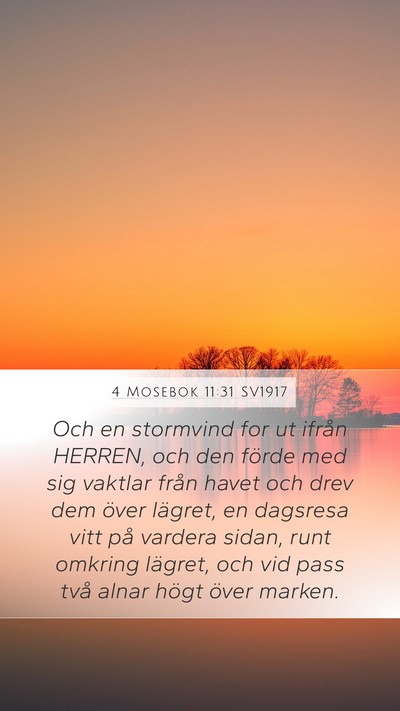 4 Mosebok 11:31 SV1917 Mobile Phone Wallpaper - Och en stormvind for ut ifrån HERREN, och den - Mobile Bible Verse Wallpaper
