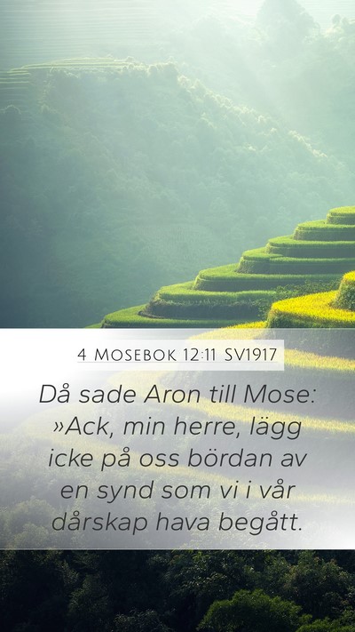 4 Mosebok 12:11 SV1917 Bible Verse Image