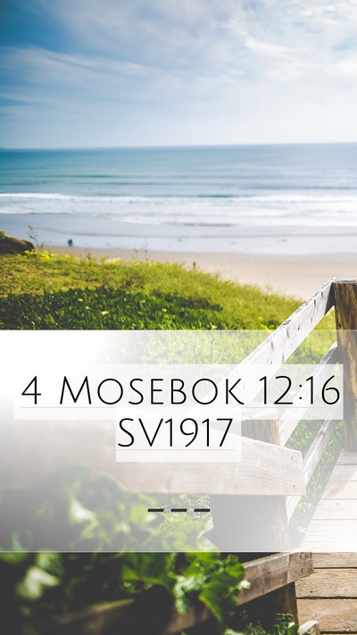 4 Mosebok 12:16 SV1917 Bible Verse Image