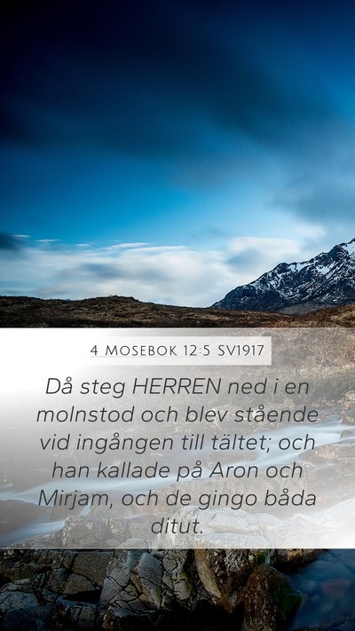 4 Mosebok 12:5 SV1917 Mobile Phone Wallpaper - Då steg HERREN ned i en molnstod och blev - Mobile Bible Verse Wallpaper