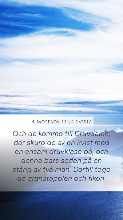 4 Mosebok 13:24 SV1917 Bible Verse Image