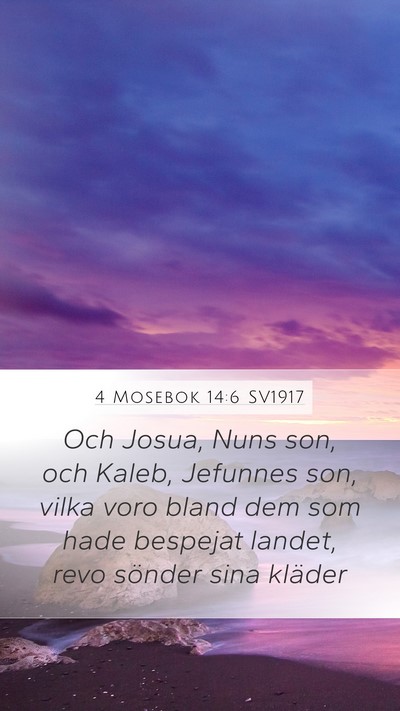 4 Mosebok 14:6 SV1917 Bible Verse Image