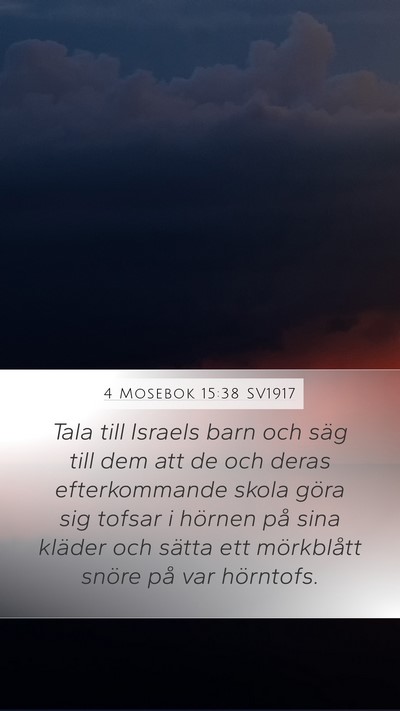 4 Mosebok 15:38 SV1917 Bible Verse Image