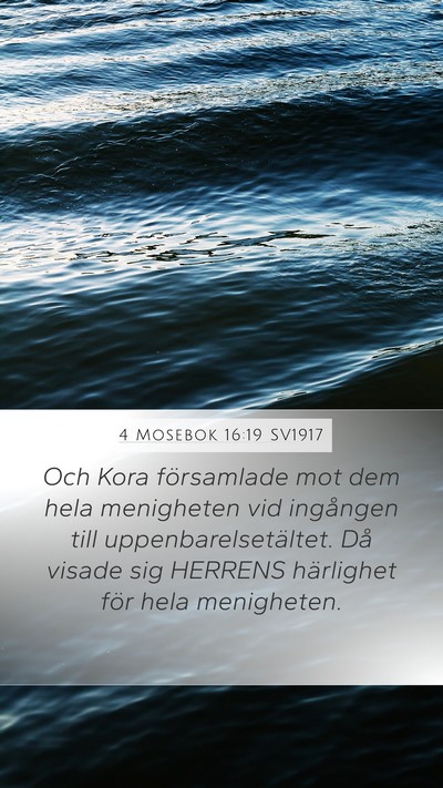 4 Mosebok 16:19 SV1917 Bible Verse Image