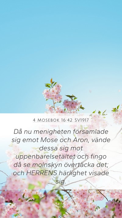 4 Mosebok 16:42 SV1917 Bible Verse Image