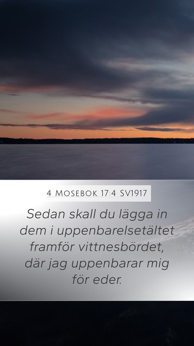 4 Mosebok 17:4 SV1917 Mobile Phone Wallpaper - Sedan skall du lägga in dem i - Mobile Bible Verse Wallpaper