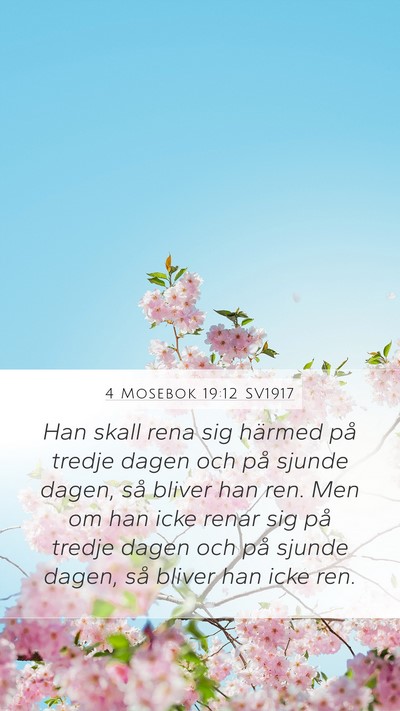 4 Mosebok 19:12 SV1917 Bible Verse Image